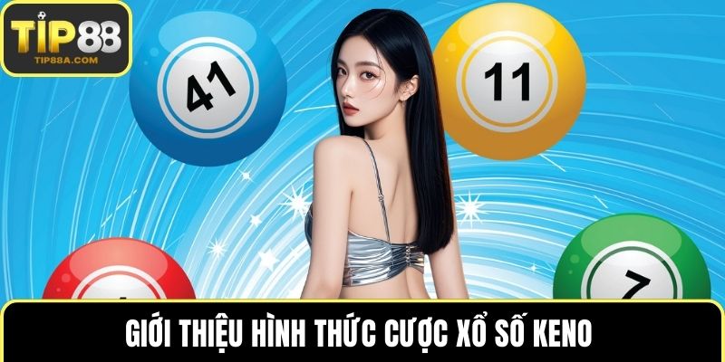 Giới thiệu hình thức cược xổ số Keno