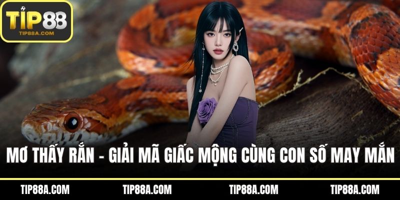 Mơ Thấy Rắn